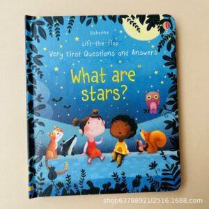Usborne Very First Questions and Answers – Lift-the-Flap Book Set